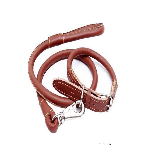 Buy Collar With Leather Leash - 5-Feet - Best Price in Pakistan (April ...