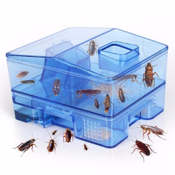cockroach-traps-box