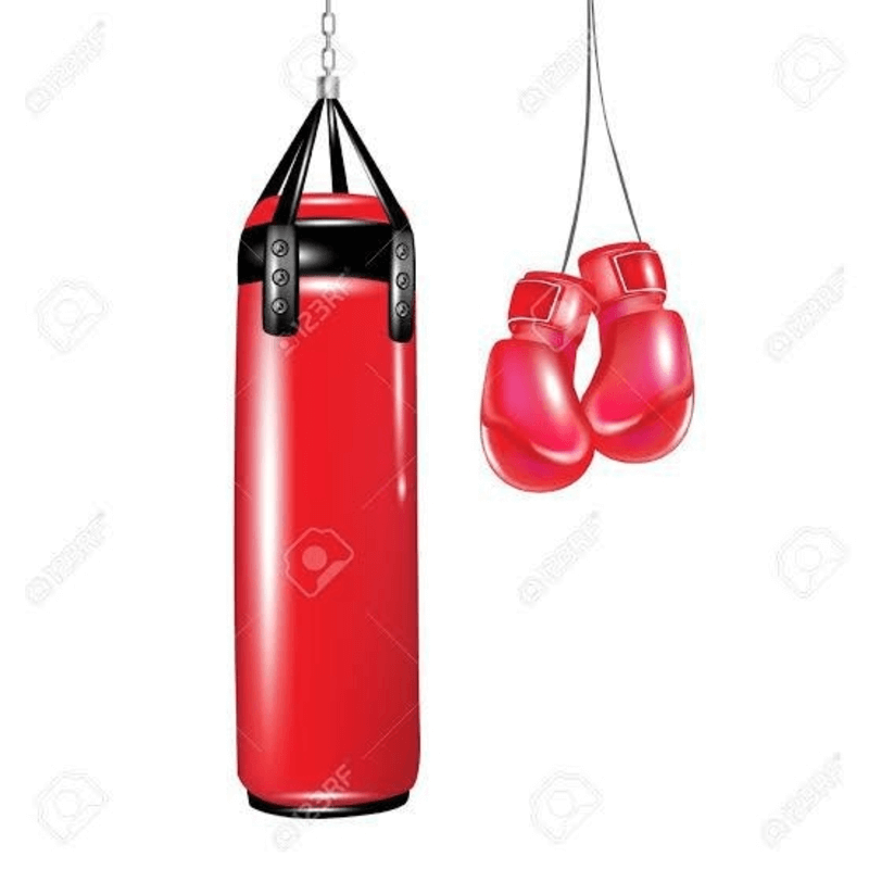 boxing-punching-bag-with-boxing-gloves