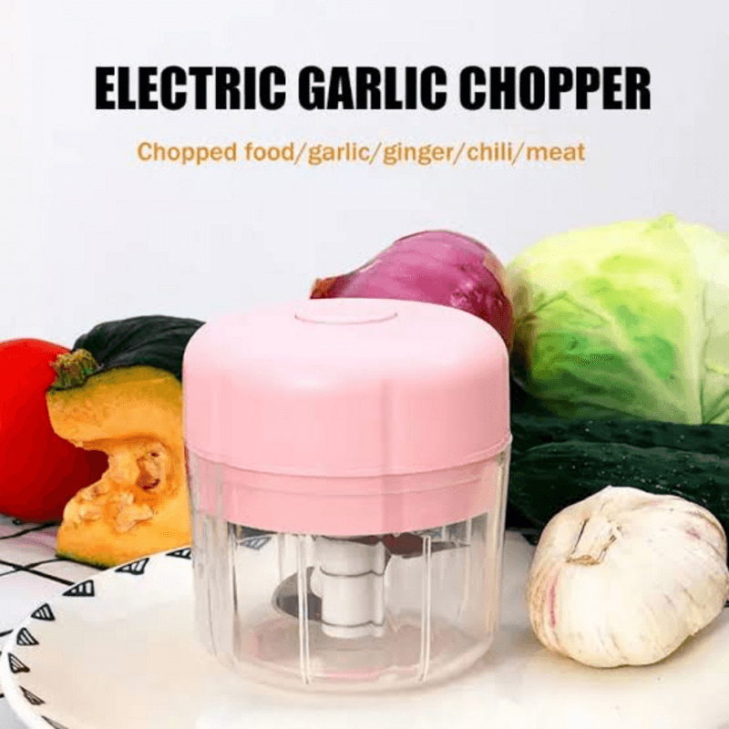 Intelligent Electric Garlic Chopper Price in Pakistan | LAPTAB