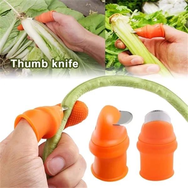 1pc Stainless Steel Thumb Knife Tool with Finger Guard for Cutting Vegetables and Peeling Nuts Price in Pakistan | LAPTAB
