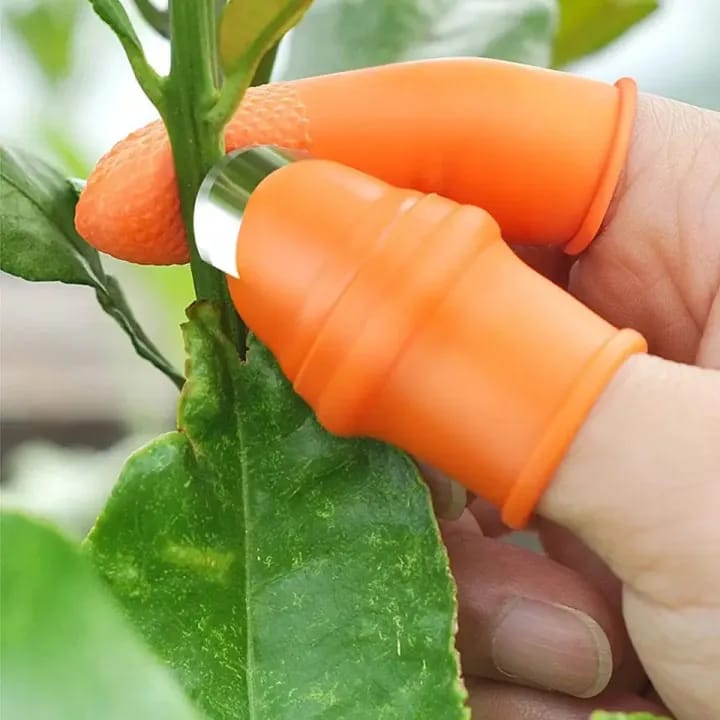 1pc Stainless Steel Thumb Knife Tool with Finger Guard for Cutting Vegetables and Peeling Nuts Price in Pakistan | LAPTAB