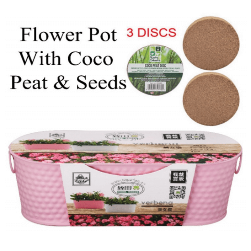 Stainless Steel Flower Pot With Coco Peat n Seeds