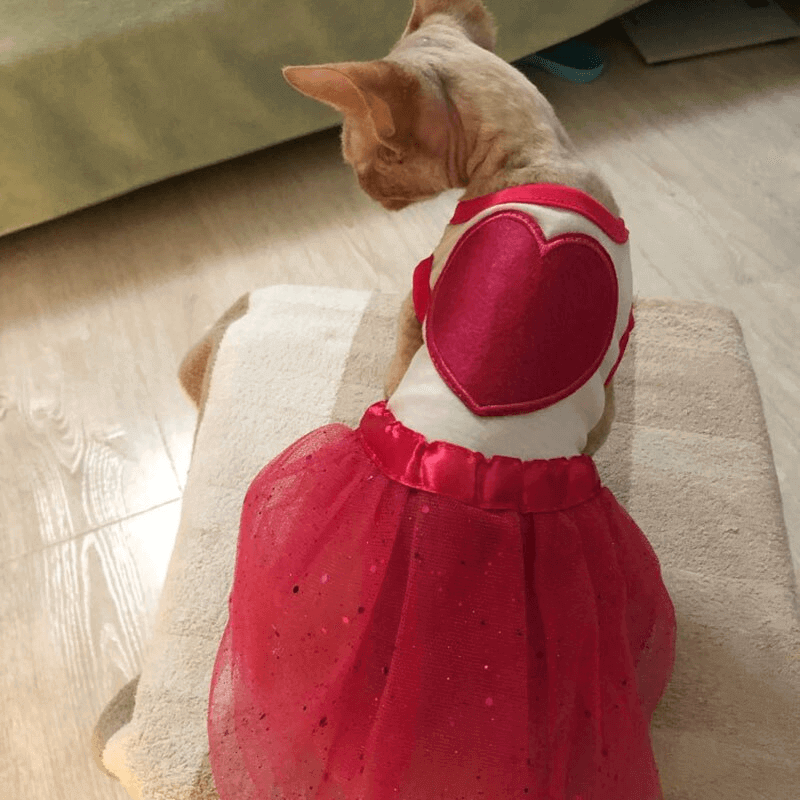 Cat Dog Clothes Red Heart Cat Dress Skirt