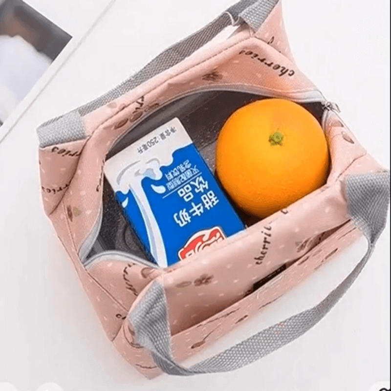 collapsible-insulated-lunch-bag