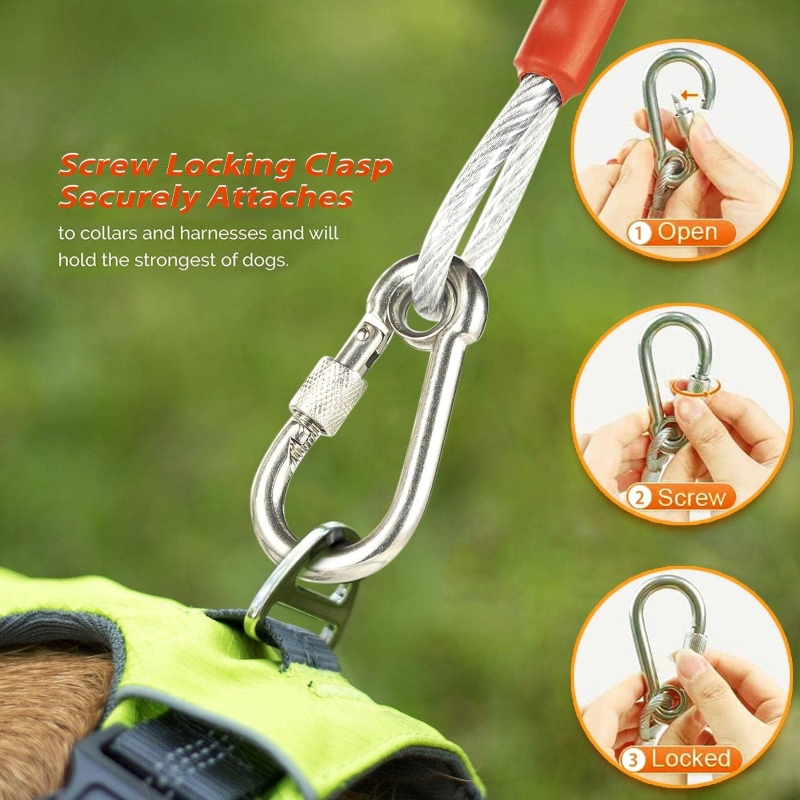 Strong stainless steel clothesline rope (2 metre) with hooks Price in Pakistan | LAPTAB