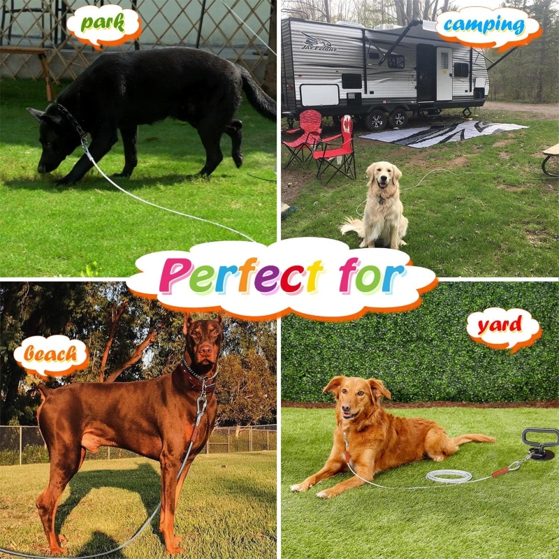 Strong stainless steel clothesline rope (2 metre) with hooks Price in Pakistan | LAPTAB