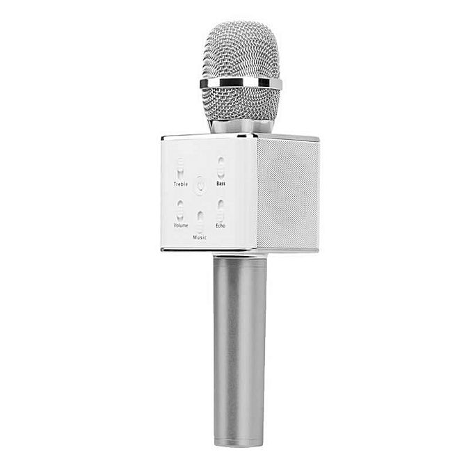 Speech Mic With Loud Speaker (Built-In) & Echo Option