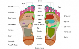 Magnetic Therapy Massage Insoles for Foot Comfort and Shock Absorption Price in Pakistan | LAPTAB