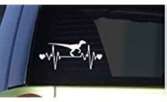 Heartbeat Lifeline Monitor Screen Car Sticker - Waterproof Vinyl Decal Price in Pakistan | LAPTAB