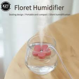 Mini USB Humidifier Air Purifier - Portable Aroma Diffuser for Home & Car Price in Pakistan | LAPTAB