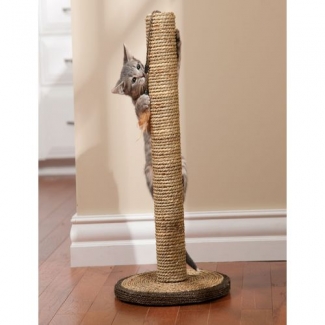 Brown Scratching Post for Cats, 14x14x14-Inch, Easy Assembly, Made in Germany Price in Pakistan | LAPTAB