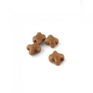 SECOND AGE KITTEN Food - 2 Kg for Digestive Health During Growth Price in Pakistan | LAPTAB