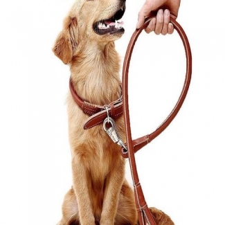 Leather Dog Leash - 5 Feet Long, Brown, High Quality Price in Pakistan | LAPTAB