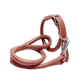 Leather Dog Leash - 5 Feet Long, Brown, High Quality Price in Pakistan | LAPTAB