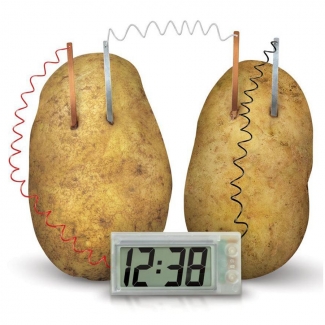 Science Toys - Potato Clock - 235