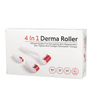 4 in 1 Derma Roller Kit with 3 Needle Heads for Acne Scars and Stretch Marks Treatment Price in Pakistan | LAPTAB