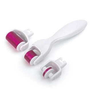 4 in 1 Derma Roller Kit with 3 Needle Heads for Acne Scars and Stretch Marks Treatment Price in Pakistan | LAPTAB
