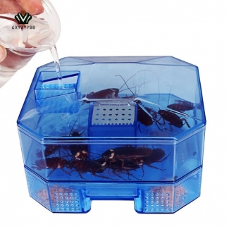 Reusable Plastic Cockroach Trap Box for Catching Insects Without Toxic Sprays Price in Pakistan | LAPTAB