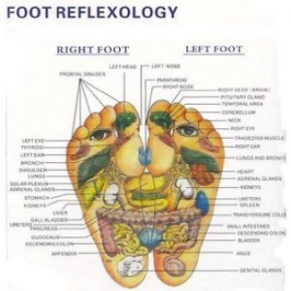 Magnetic Reflexology Sandals for Improved Circulation, Pain Relief, and Sleep Quality Price in Pakistan | LAPTAB
