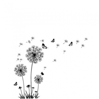 Vinyl Wall Sticker 165 cm Black, Waterproof, Non-Toxic, Transparent Base Price in Pakistan | LAPTAB