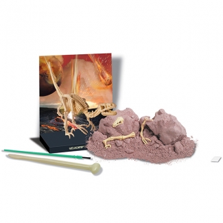 4M Dinosaur Velociraptor Skeleton Science Toy Kit with Digging Tools and Quiz Price in Pakistan | LAPTAB
