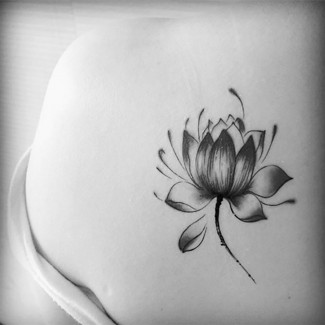 Temporary Tattoos Water Lily Lotus Flower Set, Fashion Style, High Quality Price in Pakistan | LAPTAB