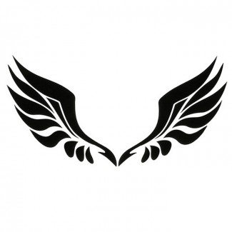 Mirror Wings 3D Cat Eye Car Sticker Waterproof Rearview Mirror Decal Price in Pakistan | LAPTAB
