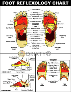 Traditional Wooden Roller Foot Massager for Pain Relief and Improved Circulation Price in Pakistan | LAPTAB