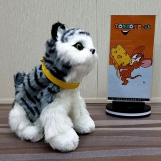 Punched Face Persian Cat Animatronic Toy with Sound Response and Soft Coat Price in Pakistan | LAPTAB