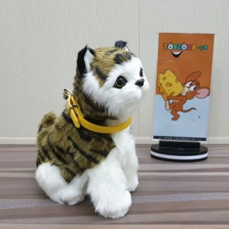 Punched Face Persian Cat Toy (Black & Green) ? Interactive Animatronic Pet Responds to Touch and Sound Price in Pakistan | LAPTAB