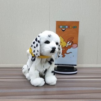 Joy For All Pet Dalmatian Animatronic Dog Toy with Soft Coat and Realistic Sounds Price in Pakistan | LAPTAB