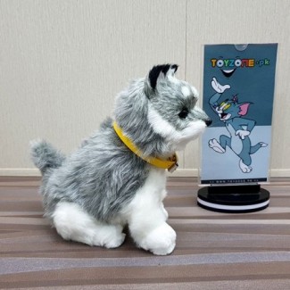 Joy For All Siberian Husky Companion Pup with Realistic Sounds and Soft Coat Price in Pakistan | LAPTAB