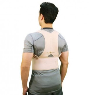 pack of 2 Royal Posture Back  Support Belt for Pain Relief
