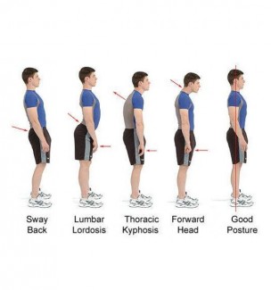 Royal Posture Back Support Belt Pack of 2 ? Adjustable Brace for Pain Relief and Posture Correction Price in Pakistan | LAPTAB