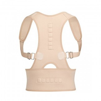 Royal Posture Back Support Belt Pack of 2 ? Adjustable Brace for Pain Relief and Posture Correction Price in Pakistan | LAPTAB