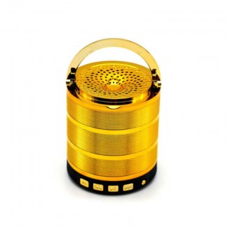 G28 Bluetooth Speaker with Text-to-Sound for Accessibility, FM Radio, TF Card, USB Playback