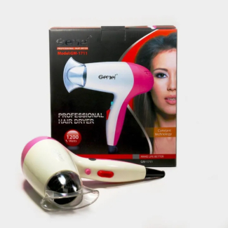 Gemei Hair Dryer GM-1739 with Speed Temperature Control Price in Pakistan | LAPTAB