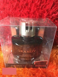 Grandy Car Air Freshener Perfume Black ? Easy to Fit, Quality Scent, Perfect Finish Price in Pakistan | LAPTAB