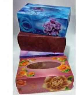 Tissue Box Plastic Card Folding - 100 Single-Use Facial Tissues with Dispenser