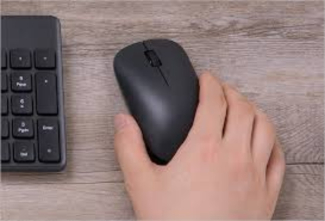 Xiaomi Wireless Mouse 2.4Ghz