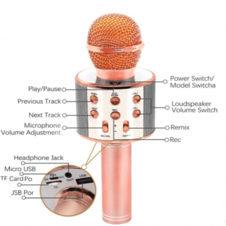 Wireless Karaoke Microphone with Bluetooth Speaker, Voice Changing, Compatible with Android and iOS Price in Pakistan | LAPTAB