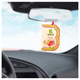 Car Air Freshener with Variety of Fragrances, Easy to Use and Remove, Attractive Design