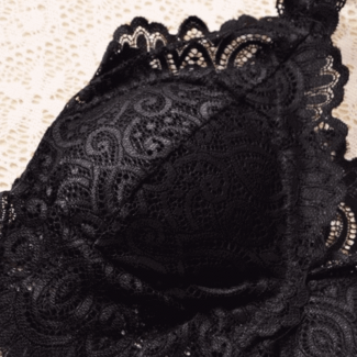 Lace Bra Floral V-Neck Mesh Vest Bralette Bustier for Comfort and Style Price in Pakistan | LAPTAB