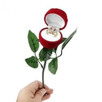 Red Rose Ring Display Box