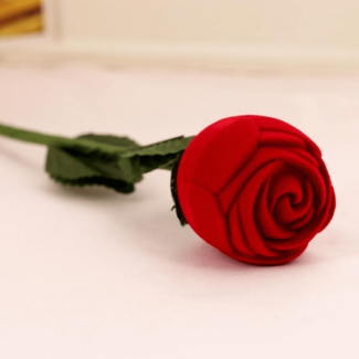 Red Rose Ring Display Box with Velvet Flower, Soft Lining, and Hard Sponge Holder Price in Pakistan | LAPTAB