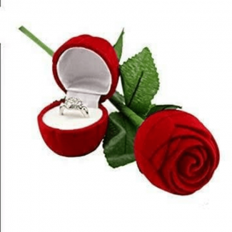 Red Rose Ring Display Box with Velvet Flower, Soft Lining, and Hard Sponge Holder Price in Pakistan | LAPTAB