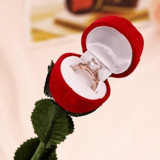 Red Rose Ring Display Box with Velvet Flower, Soft Lining, and Hard Sponge Holder Price in Pakistan | LAPTAB