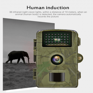 Wildlife Trail Photo Wireless Surveillance Camera 1080p HD with Infrared Detection Price in Pakistan | LAPTAB