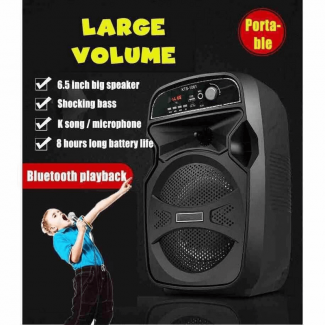 Portable Wireless Bluetooth Karaoke Speaker KTS-1061 with Mic, USB, SD, FM Radio Price in Pakistan | LAPTAB